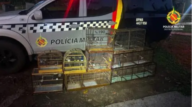 PMDF RESGATA 14 AVES SILVESTRES MANTIDAS ILEGALMENTE EM CATIVEIRO NO RECANTO DAS EMAS